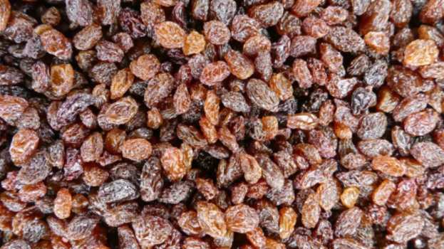 &Mu;&epsilon;&sigma;&sigma;&eta;&nu;ί&alpha;: &Kappa;&alpha;&lambda;ή &eta; &phi;&epsilon;&tau;&iota;&nu;ή &chi;&rho;&omicron;&nu;&iota;ά &gamma;&iota;&alpha; &tau;&eta; &sigma;&tau;&alpha;&phi;ί&delta;&alpha;