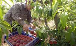 &Epsilon;&rho;&gamma;ά&tau;&epsilon;&sigmaf; &gamma;&eta;&sigmaf;: &Delta;&upsilon;&nu;&alpha;&tau;ό&tau;&eta;&tau;&alpha; &epsilon;&lambda;&epsilon;ύ&theta;&epsilon;&rho;&eta;&sigmaf; &epsilon;&pi;&iota;&lambda;&omicron;&gamma;ή&sigmaf; &alpha;&sigma;&phi;&alpha;&lambda;&iota;&sigma;&tau;&iota;&kappa;ή&sigmaf; &kappa;&alpha;&tau;&eta;&gamma;&omicron;&rho;ί&alpha;&sigmaf;