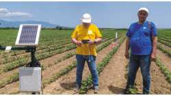 &Beta;&alpha;&mu;&beta;ά&kappa;&iota;: &Upsilon;&lambda;&omicron;&pi;&omicron;ί&eta;&sigma;&eta; &pi;&rho;&omicron;&gamma;&rho;ά&mu;&mu;&alpha;&tau;&omicron;&sigmaf; &epsilon;&lambda;&epsilon;&gamma;&chi;ό&mu;&epsilon;&nu;&eta;&sigmaf; ά&rho;&delta;&epsilon;&upsilon;&sigma;&eta;&sigmaf; &sigma;&tau;&omicron;&nu; &Alpha;&Sigma; &Beta;&alpha;&mu;&beta;&alpha;&kappa;&omicron;&pi;&alpha;&rho;&alpha;&gamma;&omega;&gamma;ώ&nu; &Eta;&mu;&alpha;&theta;ί&alpha;&sigmaf;