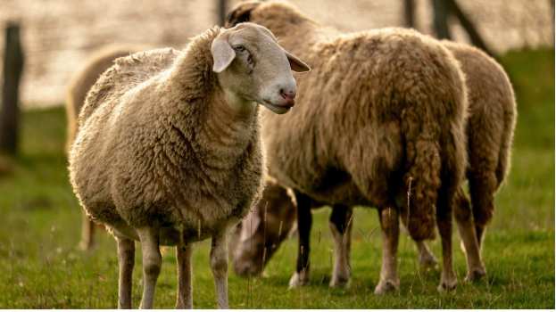 &Epsilon;&Epsilon;&Epsilon;&Delta;&Epsilon;&Epsilon;: &Epsilon;&pi;&iota;&kappa;&alpha;&iota;&rho;&omicron;&pi;&omicron;&iota;&eta;&mu;έ&nu;&alpha; &sigma;&upsilon;&gamma;&kappa;&epsilon;&nu;&tau;&rho;&omega;&tau;&iota;&kappa;ά &sigma;&tau;&omicron;&iota;&chi;&epsilon;ί&alpha; &gamma;&iota;&alpha; &tau;&eta;&nu; &pi;&omicron;&rho;&epsilon;ί&alpha; &tau;&eta;&sigmaf; &epsilon;&upsilon;&lambda;&omicron;&gamma;&iota;ά&sigmaf; &sigma;&tau;&eta; &chi;ώ&rho;&alpha;