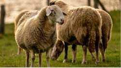 &Epsilon;&Epsilon;&Epsilon;&Delta;&Epsilon;&Epsilon;: &Epsilon;&pi;&iota;&kappa;&alpha;&iota;&rho;&omicron;&pi;&omicron;&iota;&eta;&mu;έ&nu;&alpha; &sigma;&upsilon;&gamma;&kappa;&epsilon;&nu;&tau;&rho;&omega;&tau;&iota;&kappa;ά &sigma;&tau;&omicron;&iota;&chi;&epsilon;ί&alpha; &gamma;&iota;&alpha; &tau;&eta;&nu; &pi;&omicron;&rho;&epsilon;ί&alpha; &tau;&eta;&sigmaf; &epsilon;&upsilon;&lambda;&omicron;&gamma;&iota;ά&sigmaf; &sigma;&tau;&eta; &chi;ώ&rho;&alpha;