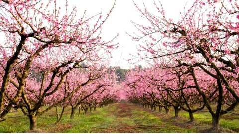 &Pi;&omega;&sigmaf; &epsilon;&pi;&iota;&tau;&upsilon;&gamma;&chi;ά&nu;&omicron;&upsilon;&mu;&epsilon; &alpha;ύ&xi;&eta;&sigma;&eta; &pi;&alpha;&rho;&alpha;&gamma;&omega;&gamma;ή&sigmaf; &kappa;&alpha;&iota; &kappa;&alpha;&lambda;ύ&tau;&epsilon;&rho;&eta; &alpha;&pi;&omicron;&rho;&rho;ό&phi;&eta;&sigma;&eta; &lambda;&iota;&pi;&alpha;&sigma;&mu;ά&tau;&omega;&nu;