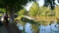 &Kappa;&alpha;&kappa;&omicron;&kappa;&alpha;&iota;&rho;ί&alpha; Daniel: Ώ&rho;&epsilon;&sigmaf; &alpha;&gamma;&omega;&nu;ί&alpha;&sigmaf; &gamma;&iota;&alpha; &tau;&eta;&nu; &Lambda;ά&rho;&iota;&sigma;&alpha; - &Alpha;&pi;&epsilon;&iota;&lambda;&epsilon;ί &omicron; &Pi;&eta;&nu;&epsilon;&iota;ό&sigmaf;, &omicron;&chi;&upsilon;&rho;ώ&nu;&epsilon;&tau;&alpha;&iota; &eta; &pi;ό&lambda;&eta;