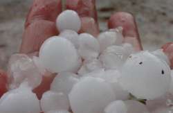 &Kappa;&alpha;&rho;&delta;ί&tau;&sigma;&alpha;: &Iota;&sigma;&chi;&upsilon;&rho;ή &chi;&alpha;&lambda;&alpha;&zeta;ό&pi;&tau;&omega;&sigma;&eta; &sigma;&epsilon; &kappa;&alpha;&lambda;&lambda;&iota;έ&rho;&gamma;&epsilon;&iota;&epsilon;&sigmaf; &sigma;&tau;&omicron;&nu; &Pi;&alpha;&lambda;&alpha;&mu;ά