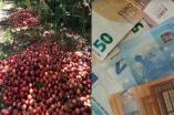 Έ&rho;&chi;&omicron;&nu;&tau;&alpha;&iota; &alpha;&pi;&omicron;&zeta;&eta;&mu;&iota;ώ&sigma;&epsilon;&iota;&sigmaf; &tau;&omega;&nu; &rho;&omicron;&delta;&alpha;&kappa;&iota;&nu;&omicron;&pi;&alpha;&rho;&alpha;&gamma;&omega;&gamma;ώ&nu; ό&pi;&omega;&sigmaf; &tau;&iota;&sigmaf; &pi;&epsilon;&rho;&sigma;&iota;&nu;έ&sigmaf;;
