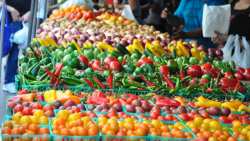 Έ&kappa;&tau;&alpha;&kappa;&tau;&eta; &mu;&epsilon;&tau;&alpha;&phi;&omicron;&rho;ά &tau;&eta;&sigmaf; &eta;&mu;έ&rho;&alpha;&sigmaf; &lambda;&epsilon;&iota;&tau;&omicron;&upsilon;&rho;&gamma;ί&alpha;&sigmaf; &tau;&eta;&sigmaf; &Lambda;&alpha;ϊ&kappa;ή&sigmaf; &Alpha;&gamma;&omicron;&rho;ά&sigmaf; &tau;&eta;&sigmaf; &Kappa;&omicron;&iota;&nu;ό&tau;&eta;&tau;&alpha;&sigmaf; &Mu;&alpha;&kappa;&rho;&omicron;&chi;&omega;&rho;&iota;&omicron;&upsilon;