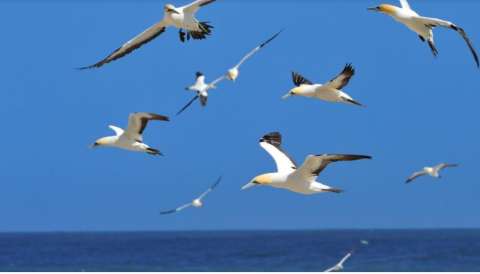 &Psi;&Upsilon;&Chi;&Omicron;&Theta;&Epsilon;&Rho;&Alpha;&Pi;&Epsilon;&Iota;&Alpha;: 10 &epsilon;&rho;&omega;&tau;ή&mu;&alpha;&tau;&alpha; &zeta;&eta;&tau;&omicron;ύ&nu; &alpha;&pi;ά&nu;&tau;&eta;&sigma;&eta;!