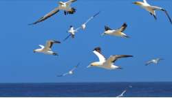 &Psi;&Upsilon;&Chi;&Omicron;&Theta;&Epsilon;&Rho;&Alpha;&Pi;&Epsilon;&Iota;&Alpha;: 10 &epsilon;&rho;&omega;&tau;ή&mu;&alpha;&tau;&alpha; &zeta;&eta;&tau;&omicron;ύ&nu; &alpha;&pi;ά&nu;&tau;&eta;&sigma;&eta;!