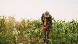 &Nu;&alpha; &delta;&omicron;&theta;&omicron;ύ&nu; &lambda;ύ&sigma;&epsilon;&iota;&sigmaf; &sigma;&tau;&iota;&sigmaf; &sigma;&upsilon;&nu;&theta;ή&kappa;&epsilon;&sigmaf; &epsilon;&rho;&gamma;&alpha;&sigma;ί&alpha;&sigmaf; &tau;&omega;&nu; &Sigma;&upsilon;&mu;&beta;&alpha;&sigma;&iota;&omicron;ύ&chi;&omega;&nu; &Gamma;&epsilon;&omega;&pi;ό&nu;&omega;&nu; &tau;&omicron;&upsilon; &Epsilon;&Lambda;.&Gamma;.&Alpha;. &zeta;&eta;&tau;ά &mu;&epsilon; &epsilon;&pi;&iota;&sigma;&tau;&omicron;&lambda;ή &sigma;&epsilon; &Upsilon;&Pi;&Alpha;&Alpha;&Tau; &kappa;&alpha;&iota; &Epsilon;&Lambda;&Gamma;&Alpha; &eta; &Pi;.&Epsilon;.&Sigma;.&Gamma;&Epsilon;.