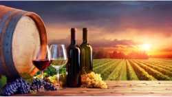 &Kappa;&Epsilon;&Omicron;&Sigma;&Omicron;&Epsilon;: &Mu;ά&lambda;&lambda;&omicron;&nu; 50 έ&omega;&sigmaf; 60.000 &epsilon;&kappa;&tau;ά&rho;&iota;&alpha; &alpha;&mu;&pi;έ&lambda;&omicron;&upsilon; &theta;&alpha; &epsilon;&kappa;&rho;&iota;&zeta;&omega;&theta;&omicron;ύ&nu; &pi;&alpha;&rho;ά 100.000 &epsilon;&kappa;&tau;ά&rho;&iota;&alpha; &sigma;&tau;&eta; &Gamma;&alpha;&lambda;&lambda;ί&alpha;