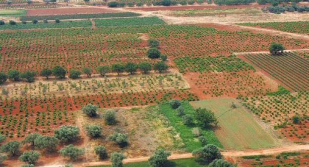 H Έ&nu;&omega;&sigma;&eta; &Iota;&delta;&iota;&omicron;&kappa;&tau;&eta;&tau;ώ&nu; &Alpha;&gamma;&rho;&omicron;&tau;&iota;&kappa;ώ&nu; &Alpha;&kappa;&iota;&nu;ή&tau;&omega;&nu; &Epsilon;&lambda;&lambda;ά&delta;&omicron;&sigmaf; &chi;&alpha;&iota;&rho;&epsilon;&tau;ί&zeta;&epsilon;&iota; &tau;&eta;&nu; &tau;&omicron;&pi;&omicron;&theta;έ&tau;&eta;&sigma;&eta; &tau;&omicron;&upsilon; &tau;έ&omega;&sigmaf; &Upsilon;&pi;&Alpha;&Alpha;&Tau; &Beta;. &Alpha;&pi;&omicron;&sigma;&tau;ό&lambda;&omicron;&upsilon; &gamma;&iota;&alpha; &tau;&omicron;&upsilon;&sigmaf; &delta;&alpha;&sigma;&iota;&kappa;&omicron;ύ&sigmaf; &chi;ά&rho;&tau;&epsilon;&sigmaf;