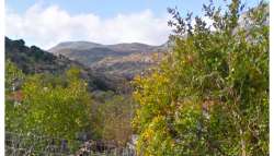 &Delta;ή&lambda;&omega;&sigma;&eta; &Upsilon;&pi;&Omicron;&iota;&kappa; &Chi;&rho;. &Sigma;&tau;&alpha;ϊ&kappa;&omicron;ύ&rho;&alpha; &sigma;&chi;&epsilon;&tau;&iota;&kappa;ά &mu;&epsilon; &tau;&eta; &beta;&epsilon;&beta;&alpha;ί&omega;&sigma;&eta; &tau;&eta;&sigmaf; έ&kappa;&tau;&alpha;&kappa;&tau;&eta;&sigmaf; &epsilon;&iota;&sigma;&phi;&omicron;&rho;ά&sigmaf; 90% &tau;&omega;&nu; &pi;&alpha;&rho;&alpha;&gamma;&omega;&gamma;ώ&nu; &eta;&lambda;&epsilon;&kappa;&tau;&rho;&iota;&kappa;ή&sigmaf; &epsilon;&nu;έ&rho;&gamma;&epsilon;&iota;&alpha;&sigmaf;