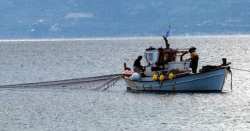 &Pi;&Epsilon; &Eta;&mu;&alpha;&theta;ί&alpha;&sigmaf; : &Alpha;&nu;&alpha;&kappa;&omicron;ί&nu;&omega;&sigma;&eta; &Chi;&rho;&eta;&mu;&alpha;&tau;&iota;&kappa;ή&sigmaf; &Alpha;&pi;&omicron;&zeta;&eta;&mu;ί&omega;&sigma;&eta;&sigmaf; &Alpha;&lambda;&iota;έ&omega;&nu; &kappa;&alpha;&iota; &Upsilon;&delta;&alpha;&tau;&omicron;&kappa;&alpha;&lambda;&lambda;&iota;&epsilon;&rho;&gamma;&eta;&tau;ώ&nu;