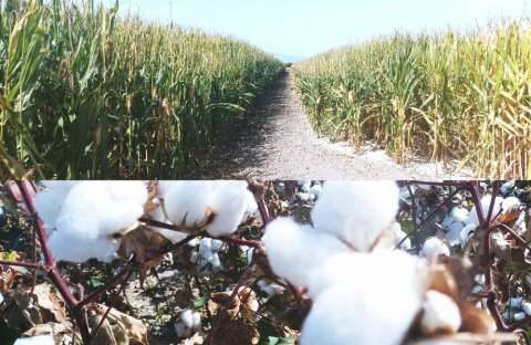 &Kappa;&Alpha;&Pi;: &Pi;ό&tau;&epsilon; &omicron;&lambda;&omicron;&kappa;&lambda;&eta;&rho;ώ&nu;&omicron;&nu;&tau;&alpha;&iota; &omicron;&iota; &sigma;&upsilon;&zeta;&eta;&tau;ή&sigma;&epsilon;&iota;&sigmaf; &gamma;&iota;&alpha; &tau;&omicron; &Sigma;&tau;&rho;&alpha;&tau;&eta;&gamma;&iota;&kappa;ό &Sigma;&chi;έ&delta;&iota;&omicron;