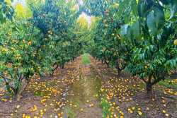 &laquo;&Omicron; &Epsilon;&Lambda;&Gamma;&Alpha; &alpha;&nu;&tau;&iota;&mu;έ&tau;&omega;&pi;&omicron;&sigmaf; &mu;&epsilon; &tau;&eta;&nu; &pi;&rho;ό&kappa;&lambda;&eta;&sigma;&eta; &tau;&eta;&sigmaf; &kappa;&lambda;&iota;&mu;&alpha;&tau;&iota;&kappa;ή&sigmaf; &alpha;&lambda;&lambda;&alpha;&gamma;ή&sigmaf;&raquo; &eta;&mu;&epsilon;&rho;ί&delta;&alpha; &pi;&omicron;&upsilon; &theta;&alpha; &pi;&rho;&alpha;&gamma;&mu;&alpha;&tau;&omicron;&pi;&omicron;&iota;&eta;&theta;&epsilon;ί &sigma;&tau;&iota;&sigmaf; 31 &Iota;&alpha;&nu;&omicron;&upsilon;&alpha;&rho;ί&omicron;&upsilon; &sigma;&tau;&eta; &Theta;&epsilon;&sigma;&sigma;&alpha;&lambda;&omicron;&nu;ί&kappa;&eta;