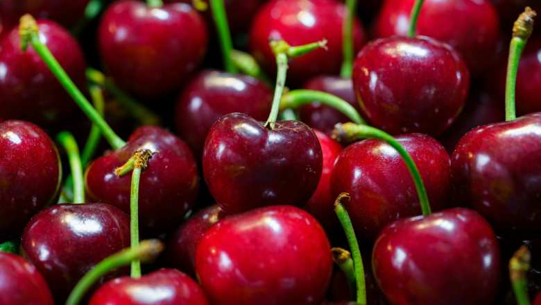 &Upsilon;&Pi;&Alpha;&Alpha;&Tau;: &Sigma;&tau;&omicron; 96% &eta; &sigma;&upsilon;&mu;&mu;ό&rho;&phi;&omega;&sigma;&eta; &tau;&omega;&nu; &delta;&epsilon;&iota;&gamma;&mu;ά&tau;&omega;&nu; &Mu;&alpha;ΐ&omicron;&upsilon; &gamma;&iota;&alpha; &upsilon;&pi;&omicron;&lambda;&epsilon;ί&mu;&mu;&alpha;&tau;&alpha; &phi;&upsilon;&tau;&omicron;&pi;&rho;&omicron;&sigma;&tau;&alpha;&tau;&epsilon;&upsilon;&tau;&iota;&kappa;ώ&nu; &pi;&rho;&omicron;ϊό&nu;&tau;&omega;&nu;