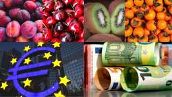 &Delta;ί&nu;&omicron;&upsilon;&nu; &tau;&alpha; 72 &epsilon;&upsilon;&rho;ώ ; "&Alpha;&delta;&epsilon;&iota;ά&zeta;&omicron;&upsilon;&nu;" &tau;&omicron;&upsilon;&sigmaf; &pi;&alpha;&rho;&alpha;&gamma;&omega;&gamma;&omicron;ύ&sigmaf; &omicron;&pi;&omega;&rho;&omicron;&kappa;&eta;&pi;&epsilon;&upsilon;&tau;&iota;&kappa;ώ&nu; ; M&epsilon;&iota;ώ&nu;&omicron;&upsilon;&nu; &tau;&alpha; &pi;&omicron;&sigma;ά &zeta;&eta;&mu;&iota;ώ&nu; &gamma;&iota;&alpha; &beta;&rho;&omicron;&chi;&omicron;&pi;&tau;ώ&sigma;&epsilon;&iota;&sigmaf;;