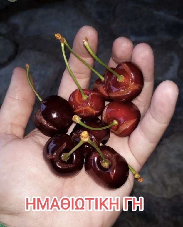 &Beta;&rho;&omicron;&chi;ό&pi;&tau;&omega;&sigma;&eta;: &Mu;&epsilon;&gamma;ά&lambda;&epsilon;&sigmaf; &zeta;&eta;&mu;&iota;έ&sigmaf; &sigma;&epsilon; &kappa;&epsilon;&rho;ά&sigma;&iota;&alpha;  &sigma;&epsilon; &Pi;έ&lambda;&lambda;&alpha; &kappa;&alpha;&iota; &Eta;&mu;&alpha;&theta;ί&alpha;