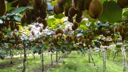 &Delta;ή&mu;&omicron;&sigmaf; &Delta;ί&omicron;&upsilon;-&Omicron;&lambda;ύ&mu;&pi;&omicron;&upsilon;: E&xi;ό&phi;&lambda;&eta;&sigma;&eta; &omicron;&phi;&epsilon;&iota;&lambda;ή&sigmaf; &alpha;&rho;&delta;&epsilon;&upsilon;&tau;&iota;&kappa;ή&sigmaf; &pi;&epsilon;&rho;&iota;ό&delta;&omicron;&upsilon; 2023 &sigma;&epsilon; έ&omega;&sigmaf; &kappa;&alpha;&iota; &tau;έ&sigma;&sigma;&epsilon;&rho;&iota;&sigmaf; &mu;&eta;&nu;&iota;&alpha;ί&epsilon;&sigmaf; &delta;ό&sigma;&epsilon;&iota;&sigmaf;