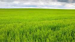 &Delta;&iota;&alpha;&phi;&upsilon;&lambda;&lambda;&iota;&kappa;ά &lambda;&iota;&pi;ά&sigma;&mu;&alpha;&tau;&alpha; &sigma;&tau;&alpha; &sigma;&iota;&tau;&eta;&rho;ά: &Tau;&omicron; &kappa;&lambda;&epsilon;&iota;&delta;ί &gamma;&iota;&alpha; &tau;&eta;&nu; &epsilon;&pi;&iota;&tau;&upsilon;&chi;ί&alpha; - &epsilon;&mu;&pi;&epsilon;&iota;&rho;ί&alpha; &Pi;&alpha;&rho;&alpha;&gamma;&omega;&gamma;&omicron;ύ!