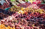 &Omicron;&iota; &kappa;&alpha;&lambda;&lambda;&iota;&epsilon;&rho;&gamma;&eta;&tau;έ&sigmaf; &phi;&rho;&omicron;ύ&tau;&omega;&nu; &sigma;&tau;&eta;&nu; Extremadura &gamma;&nu;ώ&rho;&iota;&sigma;&alpha;&nu; &alpha;&pi;ώ&lambda;&epsilon;&iota;&epsilon;&sigmaf; 83 &epsilon;&kappa;&alpha;&tau;. &epsilon;&upsilon;&rho;ώ &lambda;ό&gamma;&omega; &tau;&omega;&nu; &chi;&alpha;&mu;&eta;&lambda;ώ&nu; &tau;&iota;&mu;ώ&nu;
