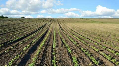 &Epsilon;&pi;&iota;&sigma;&tau;ή&mu;&omicron;&nu;&epsilon;&sigmaf; &alpha;&nu;&tau;&iota;&delta;&rho;&omicron;ύ&nu; &sigma;&tau;&omicron;&nu; &iota;&sigma;&chi;&upsilon;&rho;&iota;&sigma;&mu;ό ό&tau;&iota; &omicron; &nu;ό&mu;&omicron;&sigmaf; &tau;&eta;&sigmaf; &Epsilon;&Epsilon; &gamma;&iota;&alpha; &tau;&eta;&nu; &alpha;&pi;&omicron;&kappa;&alpha;&tau;ά&sigma;&tau;&alpha;&sigma;&eta; &tau;&eta;&sigmaf; &phi;ύ&sigma;&eta;&sigmaf; &beta;&lambda;ά&pi;&tau;&epsilon;&iota; &tau;&omicron;&upsilon;&sigmaf; &alpha;&gamma;&rho;ό&tau;&epsilon;&sigmaf;