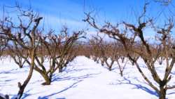 &Alpha;&rho;&nu;&alpha;&omicron;ύ&tau;&omicron;&gamma;&lambda;&omicron;&upsilon;: &laquo;&Kappa;&lambda;&epsilon;ί&delta;&omega;&sigma;&epsilon;&raquo; &eta; &epsilon;&nu;&tau;&upsilon;&pi;&omega;&sigma;&iota;&alpha;&kappa;ή &pi;&tau;ώ&sigma;&eta; &tau;&eta;&sigmaf; &theta;&epsilon;&rho;&mu;&omicron;&kappa;&rho;&alpha;&sigma;ί&alpha;&sigmaf; &alpha;&pi;ό &tau;&eta; &Delta;&epsilon;&upsilon;&tau;έ&rho;&alpha; &ndash; Έ&rho;&chi;&omicron;&nu;&tau;&alpha;&iota; &kappa;&alpha;&iota; &chi;&iota;ό&nu;&iota;&alpha;