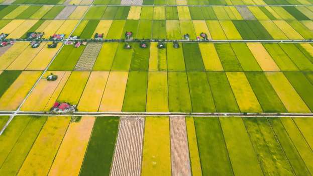 &Pi;&Omicron;&Gamma;&Epsilon;&Delta;&Upsilon;: &Delta;&epsilon;&nu; &sigma;&alpha;&sigmaf; &sigma;&tau;&omicron;&chi;&omicron;&pi;&omicron;&iota;&epsilon;ί &kappa;&alpha;&nu;&epsilon;ί&sigmaf;, &kappa;ύ&rho;&iota;&epsilon; &Beta;&omicron;&rho;ί&delta;&eta; - &sigma;&alpha;&sigmaf; &beta;&alpha;&rho;&alpha;ί&nu;&omicron;&upsilon;&nu; &omicron;&iota; &pi;&rho;ά&xi;&epsilon;&iota;&sigmaf; &sigma;&alpha;&sigmaf;