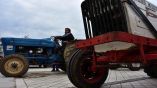 &Pi;&rho;ό&gamma;&rho;&alpha;&mu;&mu;&alpha; &alpha;&nu;&tau;&iota;&kappa;&alpha;&tau;ά&sigma;&tau;&alpha;&sigma;&eta;&sigmaf; &gamma;&epsilon;&omega;&rho;&gamma;&iota;&kappa;ώ&nu; &epsilon;&lambda;&kappa;&upsilon;&sigma;&tau;ή&rho;&omega;&nu; &pi;&rho;&omicron;&tau;&epsilon;ί&nu;&epsilon;&iota; &tau;&omicron; &Iota;&Omicron;&Beta;&Epsilon;