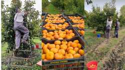 &Alpha;&pi;&lambda;ή&rho;&omega;&tau;&omicron;&iota; &alpha;&pi;ό &tau;&iota;&sigmaf; &pi;&alpha;&rho;&alpha;&gamma;&omega;&gamma;έ&sigmaf;, &Epsilon;&Lambda;&Gamma;&Alpha; &kappa;&alpha;&iota; &Epsilon;&nu;&iota;&sigma;&chi;ύ&sigma;&epsilon;&iota;&sigmaf; &omicron;&iota; &pi;&alpha;&rho;&alpha;&gamma;&omega;&gamma;&omicron;ί &sigma;&tau;&eta;&nu; &Eta;&mu;&alpha;&theta;ί&alpha; - &Chi;&omega;&rho;ί&sigmaf; &epsilon;&rho;&gamma;ά&tau;&epsilon;&sigmaf; &sigma;&tau;&eta; &sigma;&upsilon;&gamma;&kappa;&omicron;&mu;&iota;&delta;ή &lambda;&omega;&tau;ώ&nu;