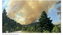 &Phi;&epsilon;&nu;&epsilon;ό&sigmaf; &Sigma;&iota;&kappa;&upsilon;ώ&nu;&alpha;&sigmaf;: Έ&omega;&sigmaf; &tau;&iota;&sigmaf; 5 &Alpha;&upsilon;&gamma;&omicron;ύ&sigma;&tau;&omicron;&upsilon; &omicron;&iota; &delta;&eta;&lambda;ώ&sigma;&epsilon;&iota;&sigmaf; &zeta;&eta;&mu;&iota;ά&sigmaf; &sigma;&tau;&omicron;&nu; &Epsilon;&Lambda;&Gamma;&Alpha; &kappa;&alpha;&iota; &sigma;&tau;&iota;&sigmaf; &Kappa;&Omicron;&Epsilon;