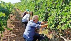 &Kappa;&Epsilon;&Omicron;&Sigma;&Omicron;&Epsilon;: &Alpha;&nu;&alpha;&mu;έ&nu;&epsilon;&tau;&alpha;&iota; &mu;&iota;&alpha; &alpha;&xi;&iota;&omicron;&sigma;&eta;&mu;&epsilon;ί&omega;&tau;&eta; &chi;&rho;&omicron;&nu;&iota;ά &tau;&rho;ύ&gamma;&omicron;&upsilon; &sigma;&tau;&alpha; &Iota;&omega;ά&nu;&nu;&iota;&nu;&alpha;