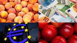 &Alpha;&gamma;&rho;&omicron;&tau;&iota;&kappa;ό&sigmaf; &kappa;ό&sigma;&mu;&omicron;&sigmaf; &Omega;&Rho;&Alpha; &mu;&eta;&delta;έ&nu; - &Sigma;&iota;&omega;&pi;ή &gamma;&iota;&alpha; 72 &epsilon;&upsilon;&rho;ώ &sigma;&epsilon; ό&lambda;&omicron;&upsilon;&sigmaf; &tau;&omicron;&upsilon;&sigmaf; &alpha;&gamma;&rho;ό&tau;&epsilon;&sigmaf; &kappa;&alpha;&iota; &epsilon;&nu;&iota;&sigma;&chi;ύ&sigma;&epsilon;&iota;&sigmaf; &gamma;&iota;&alpha; &beta;&rho;&omicron;&chi;&omicron;&pi;&tau;ώ&sigma;&epsilon;&iota;&sigmaf;