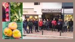 &Pi;&alpha;&rho;&alpha;&mu;ό&rho;&phi;&omega;&sigma;&eta; &rho;&omicron;&delta;ά&kappa;&iota;&nu;&omega;&nu;: &Alpha;&gamma;&alpha;&nu;&alpha;&kappa;&tau;&iota;&sigma;&mu;έ&nu;&omicron;&iota; &omicron;&iota; &pi;&alpha;&rho;&alpha;&gamma;&omega;&gamma;&omicron;ί &sigma;&tau;&iota;&sigmaf; &Alpha;&mu;&pi;&epsilon;&lambda;&epsilon;&iota;έ&sigmaf; &kappa;&alpha;&tau;&alpha;&gamma;&gamma;έ&lambda;&lambda;&omicron;&upsilon;&nu; &alpha;&delta;&iota;&alpha;&phi;&omicron;&rho;ί&alpha; &tau;&omicron;&upsilon; &Upsilon;&Pi;&Alpha;&Alpha;&Tau; - Ά&kappa;&alpha;&rho;&pi;&eta; &eta; &sigma;&upsilon;&nu;ά&nu;&tau;&eta;&sigma;&eta; &tau;&omicron;&upsilon;&sigmaf; &mu;&epsilon; &tau;&omicron;&nu; &Upsilon;&phi;&Alpha;&Alpha;&Tau; &Delta;. &Sigma;&tau;&alpha;&mu;&epsilon;&nu;ί&tau;&eta;