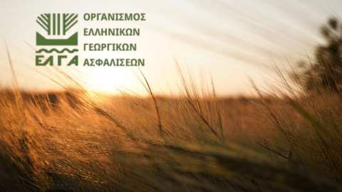 &Epsilon;&Lambda;&Gamma;&Alpha;: έ&omega;&sigmaf; 19 &Omicron;&kappa;&tau;&omega;&beta;&rho;ί&omicron;&upsilon; &omicron;&iota; &delta;&eta;&lambda;ώ&sigma;&epsilon;&iota;&sigmaf; &gamma;&iota;&alpha; &tau;&iota;&sigmaf; &zeta;&eta;&mu;&iota;έ&sigmaf; &sigma;&tau;&omicron; &Omicron;&rho;&omicron;&pi;έ&delta;&iota;&omicron; &Lambda;&alpha;&sigma;&iota;&theta;ί&omicron;&upsilon;