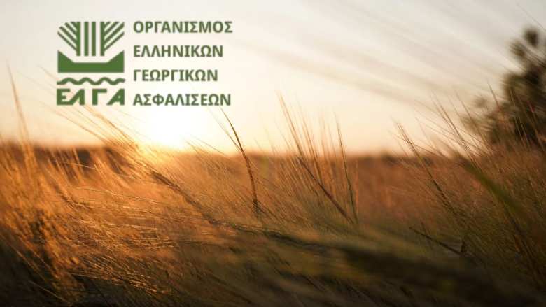 &Epsilon;&Lambda;&Gamma;&Alpha;: έ&omega;&sigmaf; 19 &Omicron;&kappa;&tau;&omega;&beta;&rho;ί&omicron;&upsilon; &omicron;&iota; &delta;&eta;&lambda;ώ&sigma;&epsilon;&iota;&sigmaf; &gamma;&iota;&alpha; &tau;&iota;&sigmaf; &zeta;&eta;&mu;&iota;έ&sigmaf; &sigma;&tau;&omicron; &Omicron;&rho;&omicron;&pi;έ&delta;&iota;&omicron; &Lambda;&alpha;&sigma;&iota;&theta;ί&omicron;&upsilon;