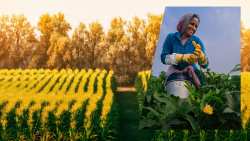 &Omicron;&iota; &mu;&epsilon;&tau;&alpha;&nu;ά&sigma;&tau;&epsilon;&sigmaf; &epsilon;&xi;&alpha;&kappa;&omicron;&lambda;&omicron;&upsilon;&theta;&omicron;ύ&nu; &nu;&alpha; &epsilon;ί&nu;&alpha;&iota; &pi;&iota;&theta;&alpha;&nu;ό&tau;&epsilon;&rho;&omicron; &nu;&alpha; &epsilon;&rho;&gamma;ά&zeta;&omicron;&nu;&tau;&alpha;&iota; &mu;&epsilon; &kappa;&alpha;&theta;&epsilon;&sigma;&tau;ώ&sigmaf; &mu;&epsilon;&rho;&iota;&kappa;ή&sigmaf; &alpha;&pi;&alpha;&sigma;&chi;ό&lambda;&eta;&sigma;&eta;&sigmaf; &sigma;&tau;&eta;&nu; &Epsilon;&Epsilon;, &alpha;&lambda;&lambda;ά &gamma;&epsilon;&phi;&upsilon;&rho;ώ&nu;&omicron;&upsilon;&nu; &tau;&omicron; &chi;ά&sigma;&mu;&alpha;