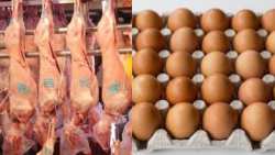 &Alpha;&upsilon;&gamma;&epsilon;&nu;ά&kappa;&eta;&sigmaf; &sigma;&tau;&eta;&nu; &Epsilon;&pi;&iota;&tau;&rho;&omicron;&pi;ή &Epsilon;&lambda;έ&gamma;&chi;&omicron;&upsilon; &alpha;&mu;&nu;&omicron;&epsilon;&rho;&iota;&phi;ί&omega;&nu; &kappa;&alpha;&iota; &alpha;&upsilon;&gamma;ώ&nu;: &Delta;&epsilon; &theta;&alpha; &alpha;&nu;&epsilon;&chi;&theta;&omicron;ύ&mu;&epsilon; &pi;&alpha;&iota;&chi;&nu;ί&delta;&iota;&alpha;, &theta;&alpha; &pi;&rho;&omicron;&sigma;&tau;&alpha;&tau;&epsilon;ύ&sigma;&omicron;&upsilon;&mu;&epsilon; &tau;&alpha; &epsilon;&lambda;&lambda;&eta;&nu;&iota;&kappa;ά &pi;&rho;&omicron;ϊό&nu;&tau;&alpha;