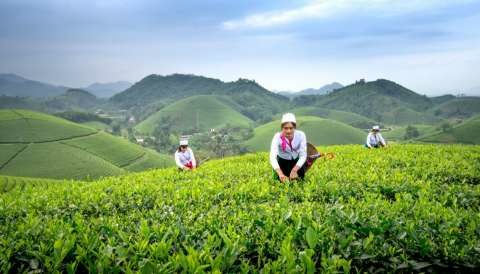 &Sigma;&upsilon;&mu;&beta;&omicron;&lambda;&alpha;&iota;&alpha;&kappa;ή &gamma;&epsilon;&omega;&rho;&gamma;ί&alpha; : Έ&nu;&alpha;&rho;&xi;&eta; &tau;&eta;&nu; &pi;&rho;ώ&tau;&eta; &beta;&delta;&omicron;&mu;ά&delta;&alpha; &tau;&omicron;&upsilon; &Delta;&epsilon;&kappa;&epsilon;&mu;&beta;&rho;ί&omicron;&upsilon; &tau;&eta;&sigmaf; &pi;&alpha;&rho;&alpha;&gamma;&omega;&gamma;&iota;&kappa;ή&sigmaf; &lambda;&epsilon;&iota;&tau;&omicron;&upsilon;&rho;&gamma;ί&alpha;&sigmaf; &epsilon;&phi;&alpha;&rho;&mu;&omicron;&gamma;ή&sigmaf; &Alpha;&Alpha;&Delta;&Epsilon;