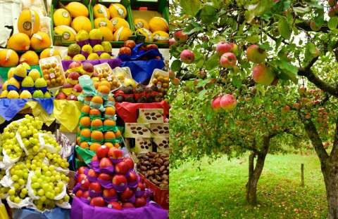 &Sigma;&tau;. &Alpha;&rho;&alpha;&chi;&omega;&beta;ί&tau;&eta;&sigmaf;: &ldquo;&Alpha;&kappa;&rho;ί&beta;&epsilon;&iota;&alpha; &sigma;&tau;&omicron; &rho;ά&phi;&iota;-&Phi;&tau;ώ&chi;&epsilon;&iota;&alpha; &sigma;&tau;&omicron; &chi;&omega;&rho;ά&phi;&iota;&rdquo;