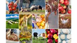 &Beta;&rho;&alpha;&chi;&upsilon;&pi;&rho;ό&theta;&epsilon;&sigma;&mu;&epsilon;&sigmaf; &pi;&rho;&omicron;&omicron;&pi;&tau;&iota;&kappa;έ&sigmaf; &tau;&omega;&nu; &gamma;&epsilon;&omega;&rho;&gamma;&iota;&kappa;ώ&nu; &alpha;&gamma;&omicron;&rho;ώ&nu;: &sigma;&tau;&alpha;&delta;&iota;&alpha;&kappa;ή &alpha;&lambda;&lambda;ά &epsilon;ύ&theta;&rho;&alpha;&upsilon;&sigma;&tau;&eta; &epsilon;&pi;&iota;&sigma;&tau;&rho;&omicron;&phi;ή &sigma;&tau;&eta; &sigma;&tau;&alpha;&theta;&epsilon;&rho;ό&tau;&eta;&tau;&alpha;