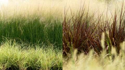 &Alpha;&nu;&alpha;&kappa;&omicron;ί&nu;&omega;&sigma;&eta; &Delta;&eta;&mu;&omicron;&tau;&iota;&kappa;ή&sigmaf; &Alpha;&sigma;&tau;&upsilon;&nu;&omicron;&mu;ί&alpha;&sigmaf; &Beta;έ&rho;&omicron;&iota;&alpha;&sigmaf; &gamma;&iota;&alpha; &tau;&omicron;&nu; &kappa;&alpha;&theta;&alpha;&rho;&iota;&sigma;&mu;ό &omicron;&iota;&kappa;&omicron;&pi;έ&delta;&omega;&nu; - &Pi;&rho;ό&sigma;&tau;&iota;&mu;&alpha; έ&omega;&sigmaf; 500 &epsilon;&upsilon;&rho;ώ &sigma;&tau;&omicron;&upsilon;&sigmaf; &pi;&alpha;&rho;&alpha;&beta;ά&tau;&epsilon;&sigmaf;