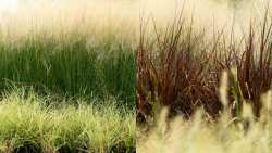 &Alpha;&nu;&alpha;&kappa;&omicron;ί&nu;&omega;&sigma;&eta; &Delta;&eta;&mu;&omicron;&tau;&iota;&kappa;ή&sigmaf; &Alpha;&sigma;&tau;&upsilon;&nu;&omicron;&mu;ί&alpha;&sigmaf; &Beta;έ&rho;&omicron;&iota;&alpha;&sigmaf; &gamma;&iota;&alpha; &tau;&omicron;&nu; &kappa;&alpha;&theta;&alpha;&rho;&iota;&sigma;&mu;ό &omicron;&iota;&kappa;&omicron;&pi;έ&delta;&omega;&nu; - &Pi;&rho;ό&sigma;&tau;&iota;&mu;&alpha; έ&omega;&sigmaf; 500 &epsilon;&upsilon;&rho;ώ &sigma;&tau;&omicron;&upsilon;&sigmaf; &pi;&alpha;&rho;&alpha;&beta;ά&tau;&epsilon;&sigmaf;