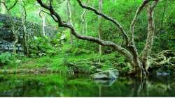 &Pi;&rho;ό&sigma;&kappa;&lambda;&eta;&sigma;&eta; &sigma;&epsilon; &Epsilon;&kappa;&delta;ή&lambda;&omega;&sigma;&eta; &laquo;&Delta;ύ&omicron; &Chi;&rho;ό&nu;&iota;&alpha; Green Waters&raquo;