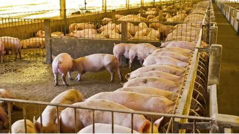 &Alpha;&rho;&nu;&eta;&tau;&iota;&kappa;ό &tau;&omicron; &kappa;&lambda;ί&mu;&alpha; &kappa;&alpha;&iota; &tau;&omicron; 2023 &gamma;&iota;&alpha; &tau;&omicron; &chi;&omicron;&iota;&rho;&iota;&nu;ό &kappa;&rho;έ&alpha;&sigmaf;