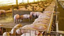 &Alpha;&rho;&nu;&eta;&tau;&iota;&kappa;ό &tau;&omicron; &kappa;&lambda;ί&mu;&alpha; &kappa;&alpha;&iota; &tau;&omicron; 2023 &gamma;&iota;&alpha; &tau;&omicron; &chi;&omicron;&iota;&rho;&iota;&nu;ό &kappa;&rho;έ&alpha;&sigmaf;