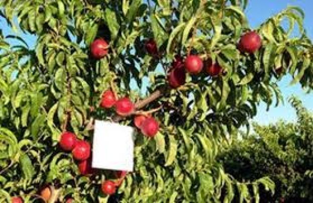 &Eta;&mu;&epsilon;&rho;ί&delta;&alpha; &sigma;&tau;&omicron; &Mu;&alpha;&kappa;&rho;&omicron;&chi;ώ&rho;&iota; &mu;&epsilon; &theta;έ&mu;&alpha; &tau;&eta;&nu; &pi;&alpha;&rho;&omicron;&upsilon;&sigma;ί&alpha;&sigma;&eta; &tau;&omicron;&upsilon; &mu;έ&tau;&rho;&omicron;&upsilon; 10.1.08 (&Kappa;&omicron;&mu;&phi;&omicron;ύ&zeta;&iota;&omicron;)