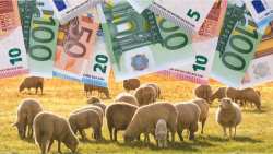 &Sigma;&tau;ή&rho;&iota;&xi;&eta; 63 &epsilon;&kappa;&alpha;&tau;. &epsilon;&upsilon;&rho;ώ &sigma;&tau;&omicron;&upsilon;&sigmaf; &kappa;&tau;&eta;&nu;&omicron;&tau;&rho;ό&phi;&omicron;&upsilon;&sigmaf;  &lambda;ό&gamma;&omega; &epsilon;&gamma;&kappa;&lambda;&epsilon;&iota;&sigma;&mu;&omicron;ύ &kappa;&alpha;&iota; &zeta;&omega;&omicron;&nu;ό&sigma;&omega;&nu; &ndash; &Mu;έ&chi;&rho;&iota; 14 &epsilon;&upsilon;&rho;ώ &alpha;&nu;ά &zeta;ώ&omicron;