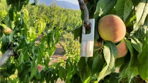 &Sigma;&upsilon;&nu;&epsilon;&chi;ί&zeta;&epsilon;&tau;&alpha;&iota; &eta; &epsilon;&phi;&alpha;&rho;&mu;&omicron;&gamma;ή &tau;&omicron;&upsilon; &Kappa;&Omicron;&Mu;&Phi;&Omicron;&Upsilon;&Zeta;&Iota;&Omicron; &mu;έ&sigma;&omega; &tau;&omega;&nu; &nu;έ&omega;&nu; &Delta;&eta;&lambda;ώ&sigma;&epsilon;&omega;&nu; &tau;&omicron;&upsilon; &Omicron;&Sigma;&Delta;&Epsilon;