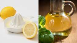 &Eta; &nu;έ&alpha; viral &tau;ά&sigma;&eta; &epsilon;&upsilon;&epsilon;&xi;ί&alpha;&sigmaf; &epsilon;ί&nu;&alpha;&iota; &tau;&alpha; &sigma;&phi;&eta;&nu;ά&kappa;&iota;&alpha; &lambda;&alpha;&delta;&omicron;&lambda;έ&mu;&omicron;&nu;&omicron;&upsilon; - Έ&chi;&omicron;&upsilon;&nu; ό&mu;&omega;&sigmaf; &pi;&rho;&alpha;&gamma;&mu;&alpha;&tau;&iota;&kappa;ά &omicron;&phi;έ&lambda;&eta;;